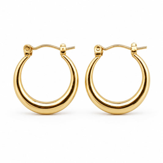 Classic Gold Hoop Earrings (AK91444_2)