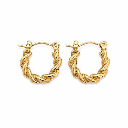 Gold Twisted Rope Hoop Earrings (AK91444_2)